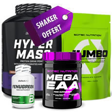 Box Prise de Masse Accélérée Appétit Plus