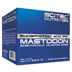 Mastodon Scitec