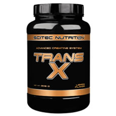 Trans-X Scitec