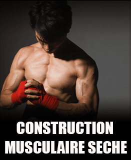 Construction musculaire sèche